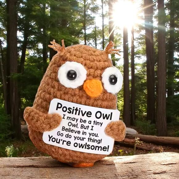 Handmade Crochet Owl with Positive Message | Inspirational Desk Decor | Owlsome - Picture 6 of 6